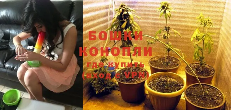 Шишки марихуана White Widow  Воскресенск 